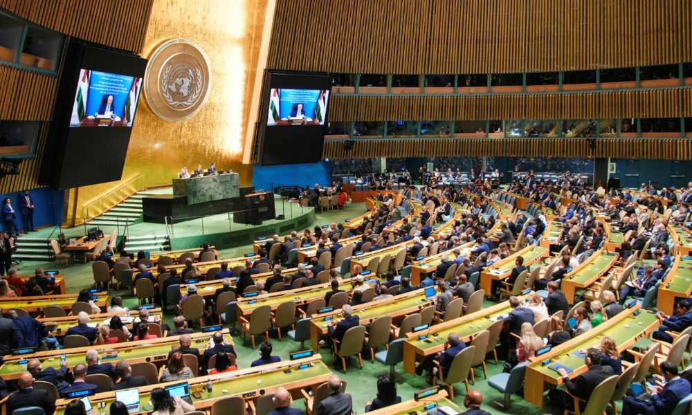 UN members rally for Palestine